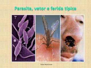 Usar lubrificantes à base de água (KY, Preserv Gel) nas relações sexuais anais.