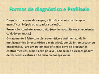 É recomendado realizar sempre o auto-exame, observando os próprios órgãos genitais e vendo se a cor, aparência, cheiro e a pele estão saudáveis. S=simN=nãoFonte:www.bvsms.saude.gov.br