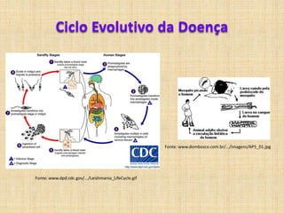 No começo o antibiótico mais usado era a penicilina, porém por causa da grande resistência adquirida por essa bactéria ao longo dos anos ao medicamento, este recentemente está deixando de ser usado devido a sua menor eficiência.;