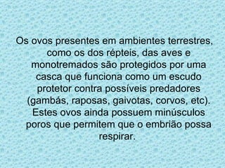 Os ovos presentes em ambientes terrestres, como os dos répteis, das aves e monotremados são protegidos por uma casca que funciona como um escudo protetor contra possíveis predadores (gambás, raposas, gaivotas, corvos, etc). Estes ovos ainda possuem minúsculos poros que permitem que o embrião possa respirar.  