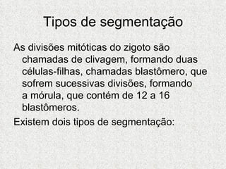 Tipos de segmentação As divisões mitóticas do zigoto são chamadas de clivagem, formando duas células-filhas, chamadas blastômero, que sofrem sucessivas divisões, formando a mórula, que contém de 12 a 16 blastômeros. Existem dois tipos de segmentação: 