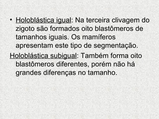 Holoblástica igual : Na terceira clivagem do zigoto são formados oito blastômeros de tamanhos iguais. Os mamíferos apresentam este tipo de segmentação. Holoblástica subigual : Também forma oito blastômeros diferentes, porém não há grandes diferenças no tamanho. 