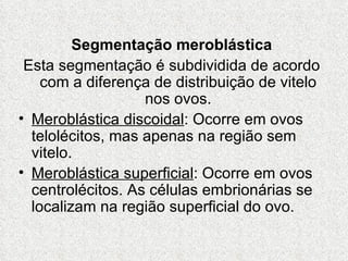 Segmentação meroblástica Esta segmentação é subdividida de acordo com a diferença de distribuição de vitelo nos ovos. Meroblástica discoidal : Ocorre em ovos telolécitos, mas apenas na região sem vitelo. Meroblástica superficial : Ocorre em ovos centrolécitos. As células embrionárias se localizam na região superficial do ovo. 