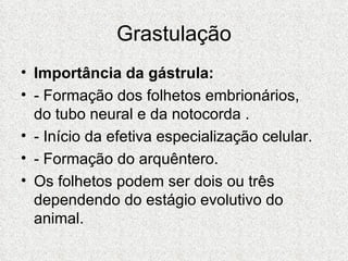 Grastulação Importância da gástrula: - Formação dos folhetos embrionários, do tubo neural e da notocorda . - Início da efetiva especialização celular. - Formação do arquêntero. Os folhetos podem ser dois ou três dependendo do estágio evolutivo do animal. 