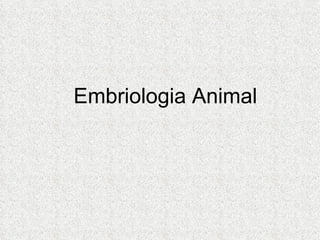 Embriologia Animal 