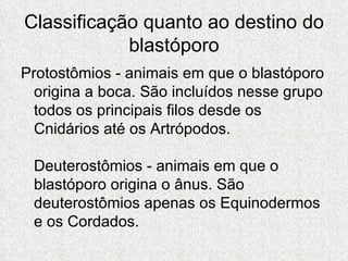 Classificação quanto ao destino do blastóporo Protostômios - animais em que o blastóporo origina a boca. São incluídos nesse grupo todos os principais filos desde os Cnidários até os Artrópodos.  Deuterostômios - animais em que o blastóporo origina o ânus. São deuterostômios apenas os Equinodermos e os Cordados. 