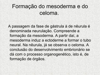Formação do mesoderma e do celoma.    A passagem da fase de gástrula à de nêurula é denominada neurulação. Compreende a formação da mesoderma. A partir daí, a mesoderma induz a ectoderme a formar o tubo neural. Na nêurula, já se observa o celoma. A conclusão do desenvolvimento embrionário se dá com o processo organogenético, isto é, de formação de órgãos.  