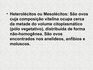 Heterolécitos ou Mesolécitos: São ovos cuja composição vitelina ocupa cerca da metade do volume citoplasmático (pólo vegetativo), distribuída de forma não-homogênea. São ovos encontrados nos anelídeos, anfíbios e moluscos. 