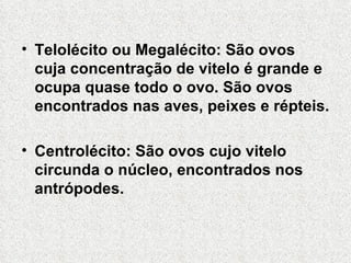 Telolécito ou Megalécito: São ovos cuja concentração de vitelo é grande e ocupa quase todo o ovo. São ovos encontrados nas aves, peixes e répteis. Centrolécito: São ovos cujo vitelo circunda o núcleo, encontrados nos antrópodes. 