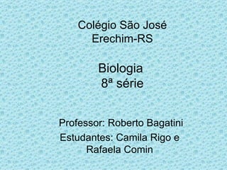 Colégio São José Erechim-RS Biologia  8ª série   Professor: Roberto Bagatini Estudantes: Camila Rigo e Rafaela Comin 