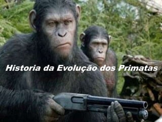Historia da Evolução dos Primatas
 