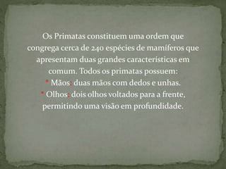 Os Primatas constituem uma ordem que
congrega cerca de 240 espécies de mamíferos que
apresentam duas grandes características em
comum. Todos os primatas possuem:
* Mãos: duas mãos com dedos e unhas.
* Olhos: dois olhos voltados para a frente,
permitindo uma visão em profundidade.
 
