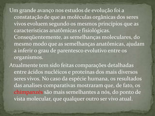 Um grande avanço nos estudos de evolução foi a
constatação de que as moléculas orgânicas dos seres
vivos evoluem segundo os mesmos princípios que as
características anatômicas e fisiológicas.
Conseqüentemente, as semelhanças moleculares, do
mesmo modo que as semelhanças anatômicas, ajudam
a inferir o grau de parentesco evolutivo entre os
organismos.
Atualmente tem sido feitas comparações detalhadas
entre ácidos nucléicos e proteínas dos mais diversos
seres vivos. No caso da espécie humana, os resultados
das analises comparativas mostraram que, de fato, os
chimpanzés são mais semelhantes a nós, do ponto de
vista molecular, que qualquer outro ser vivo atual.
 
