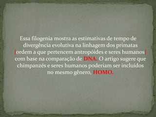 Essa filogenia mostra as estimativas de tempo de
divergência evolutiva na linhagem dos primatas
{ordem a que pertencem antropóides e seres humanos}
com base na comparação de DNA. O artigo sugere que
chimpanzés e seres humanos poderiam ser incluídos
no mesmo gênero, HOMO.
 