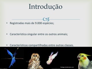 
Introdução
• Registradas mais de 9.000 espécies;
• Característica singular entre os outros animais;
• Características compartilhadas entre outras classes.
 