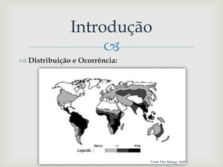 
 Distribuição e Ocorrência:
Introdução
Fonte: Plos Biology, 2006
 