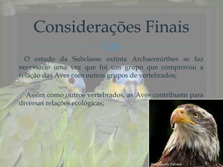 
O estudo da Subclasse extinta Archaeonirthes se faz
necessário uma vez que foi um grupo que comprovou a
relação das Aves com outros grupos de vertebrados;
 Assim como outros vertebrados, as Aves contribuem para
diversas relações ecológicas;
Considerações Finais
West County Camera
 
