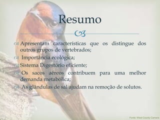 
 Apresentam características que os distingue dos
outros grupos de vertebrados;
 Importância ecológica;
 Sistema Digestório eficiente;
 Os sacos aéreos contribuem para uma melhor
demanda metabólica;
 As glândulas de sal ajudam na remoção de solutos.
Resumo
Fonte: West County Camera
 