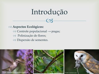 
 Aspectos Ecológicos:
 Controle populacional → pragas;
 Polinização de flores;
 Dispersão de sementes.
Introdução
Fonte: common.comFonte: conscienciacomciencia.blogspot.br
Fonte: common.com
 
