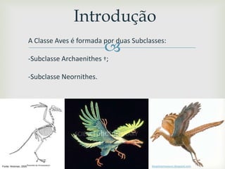 
Introdução
A Classe Aves é formada por duas Subclasses:
-Subclasse Archaenithes †;
-Subclasse Neornithes.
Fonte: Hickman, 2005 blogdoiamssauro.blogspot.com
 