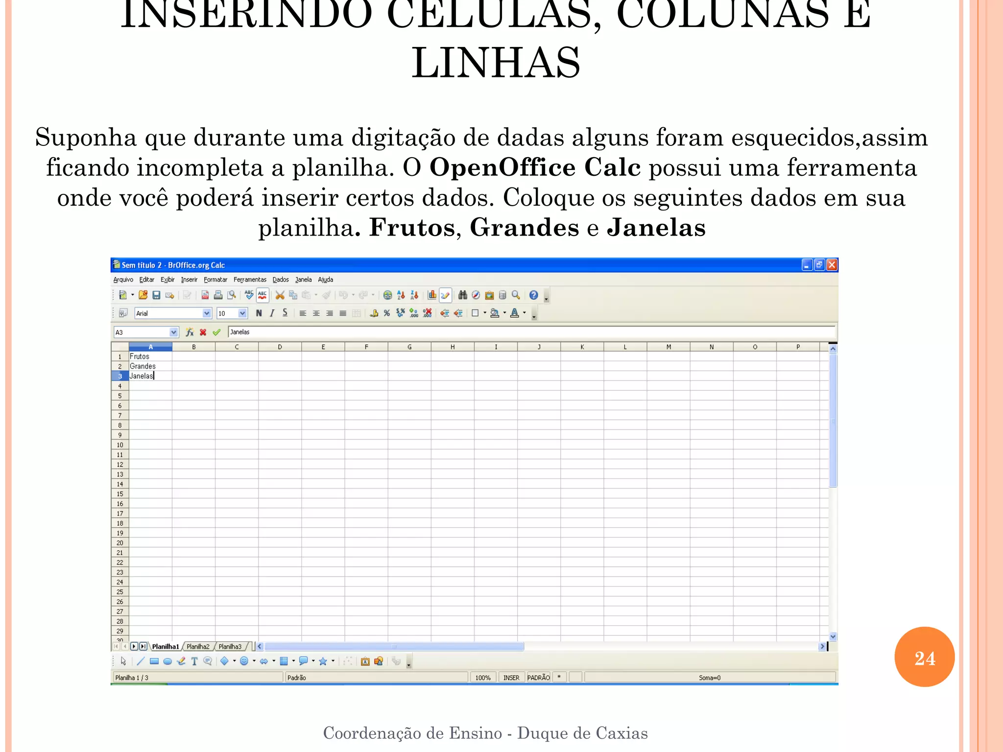 INSERINDO CÉLULAS, COLUNAS E
                  LINHAS
Suponha que durante uma digitação de dadas alguns foram esquecidos,assim
 ficando incompleta a planilha. O OpenOffice Calc possui uma ferramenta
  onde você poderá inserir certos dados. Coloque os seguintes dados em sua
                   planilha. Frutos, Grandes e Janelas




                                                                        24


                       Coordenação de Ensino - Duque de Caxias
 