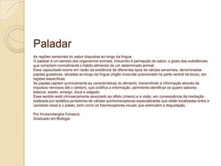 Paladar
As regiões sensoriais do sabor dispostas ao longo da língua.
O paladar é um sentido dos organismos animais, induzindo à percepção do sabor, o gosto das substâncias
que compõem normalmente o hábito alimentar de um determinado animal.
Essa capacidade ocorre em razão da existência de diferentes tipos de células sensoriais, denominadas
papilas gustativas, situadas ao longo da língua (órgão muscular posicionado na parte ventral da boca), em
regiões específicas.
As papilas captam quimicamente as características do alimento, transmitindo a informação através de
impulsos nervosos até o cérebro, que codifica a informação, permitindo identificar os quatro sabores
básicos: azedo, amargo, doce e salgado.
Esse sentido está intrinsecamente associado ao olfato (cheiro) e à visão, em consequência da mediação
realizada por epitélios portadores de células quimiorreceptoras especializadas que estão localizadas entre a
cavidade nasal e o palato, bem como os fotorreceptores visuais que estimulam a degustação.
Por Krukemberghe Fonseca
Graduado em Biologia
 