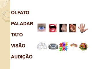 OLFATO
PALADAR
TATO
VISÃO
AUDIÇÃO
 