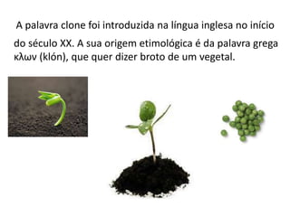A palavra clone foi introduzida na língua inglesa no início
do século XX. A sua origem etimológica é da palavra grega
κλων (klón), que quer dizer broto de um vegetal.
 