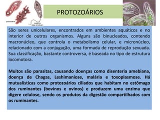 PROTOZOÁRIOS
São seres unicelulares, encontrados em ambientes aquáticos e no
interior de outros organismos. Alguns são binucleados, contendo
macronúcleo, que controla o metabolismo celular, e micronúcleo,
relacionado com a conjugação, uma formada de reprodução sexuada.
Sua classificação, bastante controversa, é baseada no tipo de estrutura
locomotora.
Muitos são parasitas, causando doenças como disenteria amebiana,
doença de Chagas, Leshimaniose, malária e toxoplasmose. Há
mutualísticas como protozoários ciliados que habitam no estômago
dos ruminantes (bovinos e ovinos) e produzem uma enzima que
digere celulose, sendo os produtos da digestão compartilhados com
os ruminantes.
 