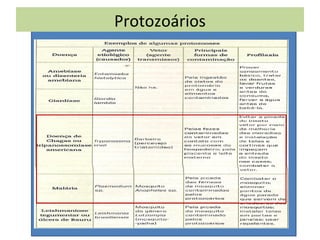 Protozoários
 