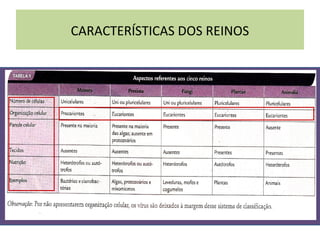 CARACTERÍSTICAS DOS REINOS
 