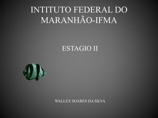 INTITUTO FEDERAL DO
MARANHÃO-IFMA
ESTAGIO II
WALLEX SOARES DA SILVA
 