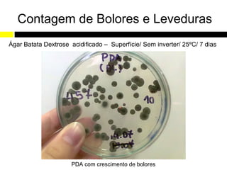 Contagem de Bolores e Leveduras
Ágar Batata Dextrose acidificado – Superfície/ Sem inverter/ 25ºC/ 7 dias




                      PDA com crescimento de bolores
 