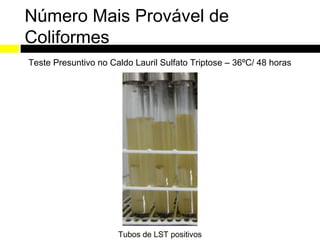 Número Mais Provável de
Coliformes
Teste Presuntivo no Caldo Lauril Sulfato Triptose – 36ºC/ 48 horas




                      Tubos de LST positivos
 
