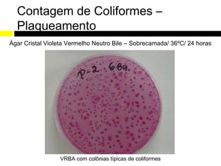 Contagem de Coliformes –
  Plaqueamento
Ágar Cristal Violeta Vermelho Neutro Bile – Sobrecamada/ 36ºC/ 24 horas




                 VRBA com colônias típicas de coliformes
 