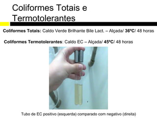 Coliformes Totais e
    Termotolerantes
Coliformes Totais: Caldo Verde Brilhante Bile Lact. – Alçada/ 36ºC/ 48 horas

Coliformes Termotolerantes: Caldo EC – Alçada/ 45ºC/ 48 horas




         Tubo de EC positivo (esquerda) comparado com negativo (direita)
 