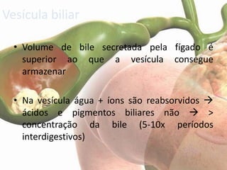 Vesícula biliar

  • Volume de bile secretada pela fígado é
    superior ao que a vesícula consegue
    armazenar

  • Na vesícula água + íons são reabsorvidos 
    ácidos e pigmentos biliares não  >
    concentração da bile (5-10x períodos
    interdigestivos)
 