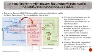 O ARRANJO PRODUTIVO DO AÇAÍ NO NORDESTE PARAENSE E
NA REGIÃO METROPOLITANA DE BELÉM
 Estrutura da quantidade (%) amostral...