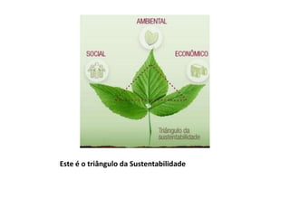 Este é o triângulo da Sustentabilidade
 