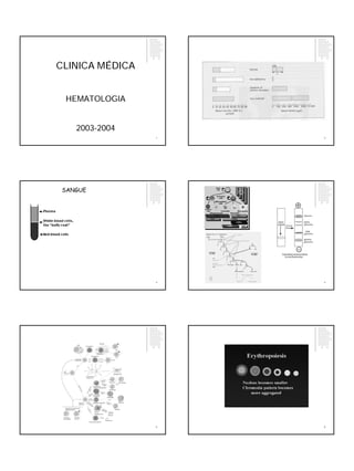 CLINICA MÉDICA


 HEMATOLOGIA


    2003-2004
                 1   2




 SANGUE




                 3   4




                 5   6
 
