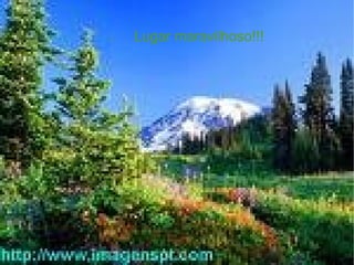 Lugar maravilhoso!!! 