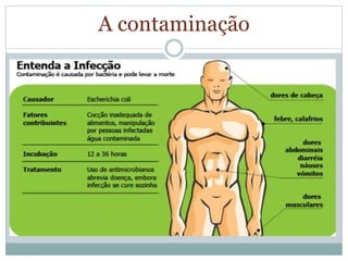 A contaminação
 