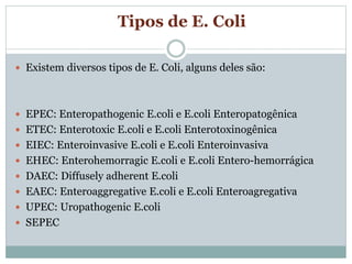 Tipos de E. Coli
 Existem diversos tipos de E. Coli, alguns deles são:
 EPEC: Enteropathogenic E.coli e E.coli Enteropatogênica
 ETEC: Enterotoxic E.coli e E.coli Enterotoxinogênica
 EIEC: Enteroinvasive E.coli e E.coli Enteroinvasiva
 EHEC: Enterohemorragic E.coli e E.coli Entero-hemorrágica
 DAEC: Diffusely adherent E.coli
 EAEC: Enteroaggregative E.coli e E.coli Enteroagregativa
 UPEC: Uropathogenic E.coli
 SEPEC
 