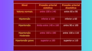 Rabi Risco Apresentação de Negócios Plano de Projeto Riscos e Rabiscos Rosa Preto.pdf
