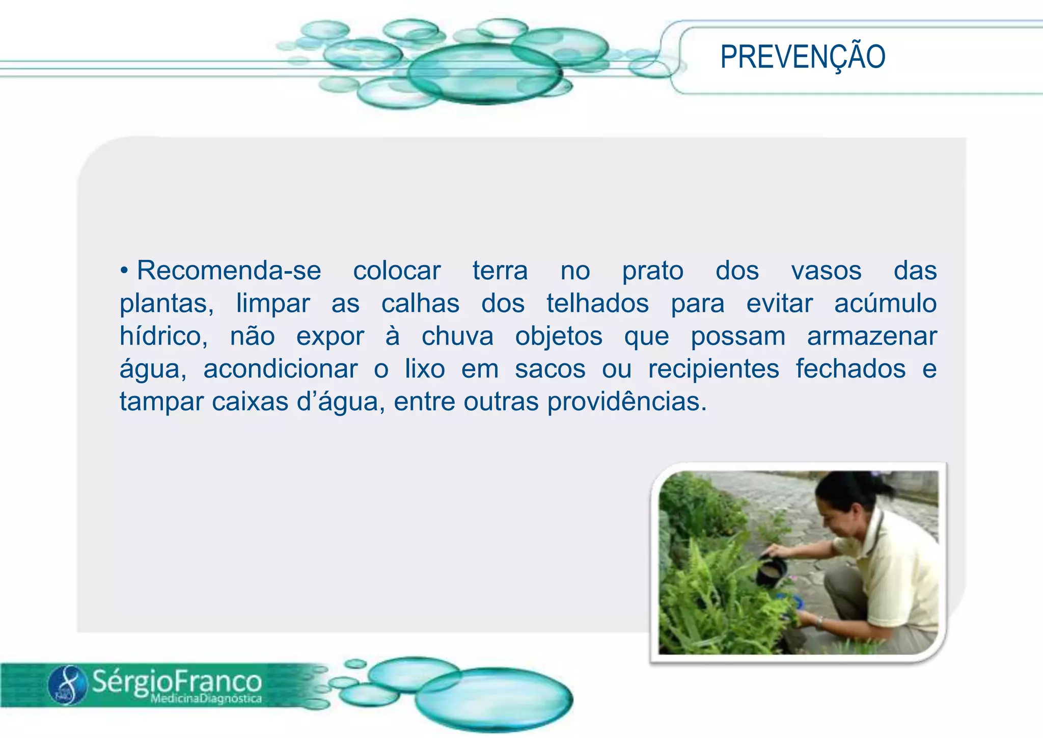 Apresentação dengue | PPSX