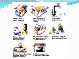 Apresentação dengue