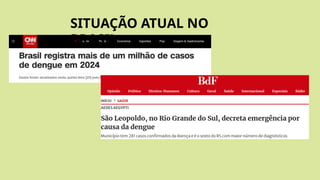 SITUAÇÃO ATUAL NO
BRASIL
 