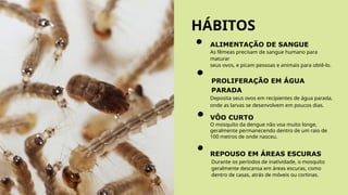 HÁBITOS
ALIMENTAÇÃO DE SANGUE
As fêmeas precisam de sangue humano para
maturar
seus ovos, e picam pessoas e animais para obtê-lo.
PROLIFERAÇÃO EM ÁGUA
PARADA
Deposita seus ovos em recipientes de água parada,
onde as larvas se desenvolvem em poucos dias.
VÔO CURTO
O mosquito da dengue não voa muito longe,
geralmente permanecendo dentro de um raio de
100 metros de onde nasceu.
REPOUSO EM ÁREAS ESCURAS
Durante os períodos de inatividade, o mosquito
geralmente descansa em áreas escuras, como
dentro de casas, atrás de móveis ou cortinas.
 