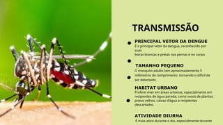 TRANSMISSÃO
PRINCIPAL VETOR DA DENGUE
É o principal vetor da dengue, reconhecido por
suas
listras brancas e pretas nas pernas e no corpo.
TAMANHO PEQUENO
O mosquito adulto tem aproximadamente 5
milímetros de comprimento, tornando-o difícil de
ser detectado.
HABITAT URBANO
Prefere viver em áreas urbanas, especialmente em
recipientes de água parada, como vasos de plantas,
pneus velhos, caixas d'água e recipientes
descartados.
ATIVIDADE DIURNA
É mais ativo durante o dia, especialmente durante
 