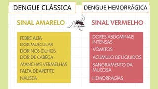 DENGUE CLÁSSICA DENGUE HEMORRÁGICA
 